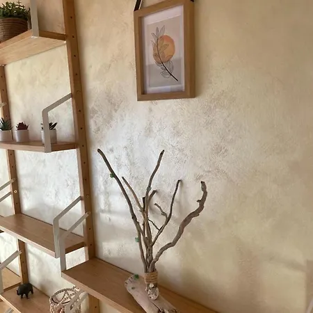 Il Cappellaio Matto Livorno